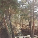 동성한우촌 이미지