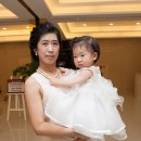 복실강아지 이미지