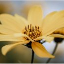 나라물자조달 이미지