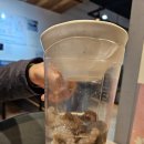 꽃섬&불낙원 이미지