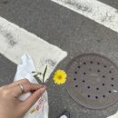 다영사 네이버블로그