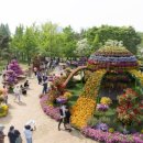 덕양구보건소치매안심센터 | 고양시 이동환시장, 창릉동 주민 대상 치매예방교육 및 조기검진 캠페인 전개