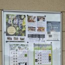 일본 농업 연수 2일차, 두 번째, 사회복지법인 AJU 자립의 집에서 운영하는 코마키 와이너리(Komaki...