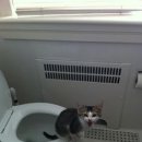 연세베스트의원 이미지