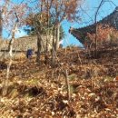 팔용산 테마공원 이미지