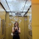 (주)쥬비스다이어트 시청점 이미지