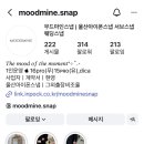 픽마인 | W05. | 울산 10만원대 웨딩 아이폰스냅 무드마인스냅 예약후기