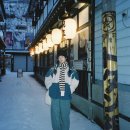 바로니즈 이미지