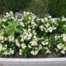 물야초등학교 이미지