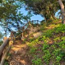 SB 행정사 사무소 이미지