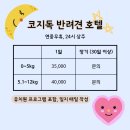 케어독 하우스 이미지