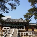 감포시장 이미지