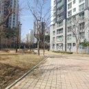 트리풀시티어린이집 이미지