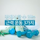 집에서 할 수 있는 근력 운동 3가지 이미지