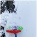 캠프원 야영장 | 눈덮인 관음사 야영장 새단장 후 첫 방문 후기 - 이용안내 및 예약방법