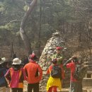 옥녀봉식당 | 청계산 옥녀봉 초급자 코스 후기: 가는법, 주차, 봄동비빔밥까지