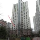 솔빛치과의원 Daum카페