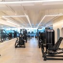 크레이짐 이미지