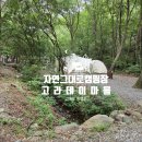 시장마을여자경로당 | [강원도 횡성]나무 그늘이 풍성한 고라데이마을에서 보낸 한여름 캠핑 후기