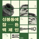 신봉동 티스토리