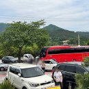 해물밭에 노는 닭 이미지