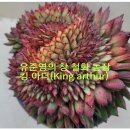 철화농장 이미지