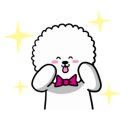 애견미용학원설민우