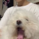 성진반점 | 🏷️ 𝐒𝐞𝐩𝐭𝐞𝐦𝐛𝐞𝐫