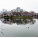 운천저수지 이미지