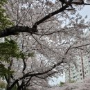 2호선 민락역 이미지