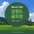 태백 오투CC 골프여행, 한여름에도 시원한 강원도 골프장 추천