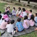 도마산초등학교 이미지