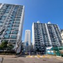 신현대세탁소 | 회기동 아파트 임장 후기(회기힐스테이트, 청량리동신현대)