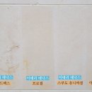 하이드렉스