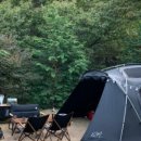 내안의숲 이미지