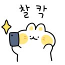 반비크 이미지