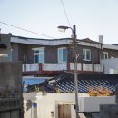 명주하녹 이미지