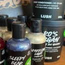 허니드리밍 이미지