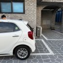 제주 소록 이미지