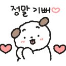 오늘의 댕댕 이미지