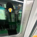 강남켄넬 | 2026 케이펫페어 세텍 뚜벅이 방문 후기