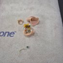 벨톤보청기 동래센터 | 남포동보청기 전문 <벨톤보청기 남포 청각센터>체계적 관리 후기