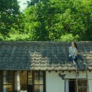 리틀포레스트 이미지