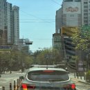 웅지농장 | 호호공룡 크레스티드게코 인기 사육방 방문후기, 라이브경매 낙찰후기 겸 드라이브~ 하이엔드 릴잔틱...