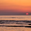 태양보룡 | 2024년 4월 1일 제주 벚꽃 여행 3탄 그리고 별 사진