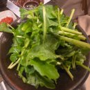 상추밭에돈 이미지