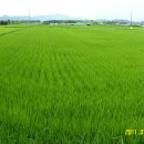 뜰과풍경 이미지