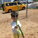 윤가농장 이미지