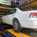 월드카젠 이미지