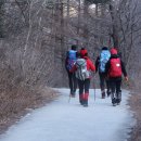 서동계곡 상류 이미지